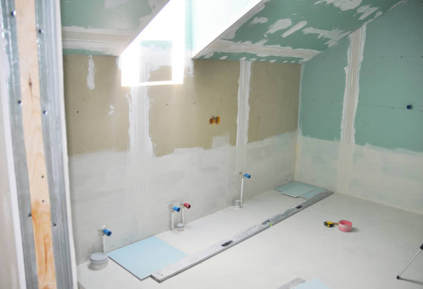 Best Custom Drywall Patching  in Dassel, MN